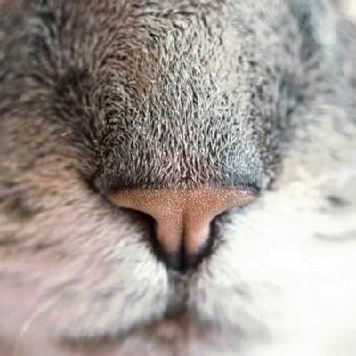 WWoodcock47394's profile picture. 