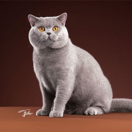 Venny_124's profile picture. 🚀 Exploring the future of cryptocurrency and technology! 💡Trailblazing at the intersection of innovation and blockchain.