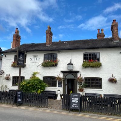 bluejupiter1843's profile picture. Personal. Local .