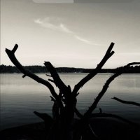 benn (the ape) (@apebenn36825) 's Twitter Profile