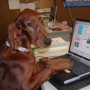 Masatoshi Ito - @c10maki2 - Twitter