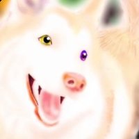 みゃーたまごん (@vxlobbfgfoftq91) 's Twitter Profile Photo みゃーたまごん (@vxlobbfgfoftq91) 's Twitter Profile Photo