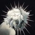 mago ⋆ fantasy lives on... (@_m4g0) Twitter profile photo mago ⋆ fantasy lives on... (@_m4g0) Twitter profile photo