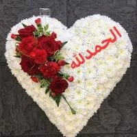 هندمحمد❤️ام محمد🥰 (@x8hiii) 's Twitter Profile