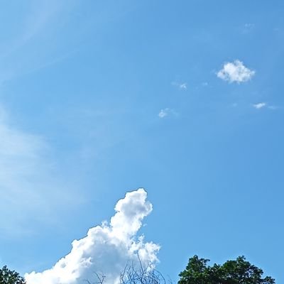 spykids111's profile picture. 