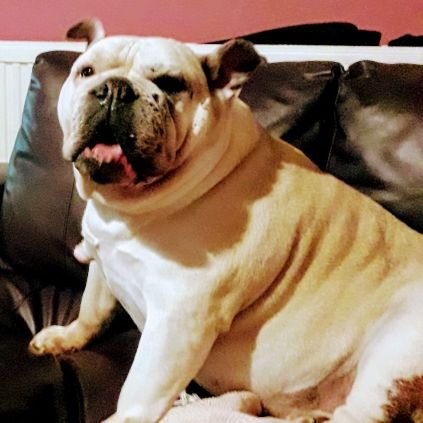 cjdanks877's profile picture. Nothing