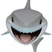 shorkee (@thingamashark) Twitter profile photo shorkee (@thingamashark) Twitter profile photo