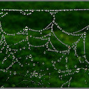 Marilyn Rodgers - @MarilynRodgers3 - Twitter