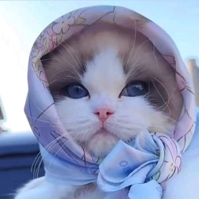 لگ آلُحٍمِدِ يَآ آلُلُهِ حٍيَنْ تٌضيَق بْنْآ آلُدِنْيَآ .. ۆحٍيَنْ تٌنْفَرٍجٍ !
لُگ آلُحٍمِدِ عٍلُﮯ گلُّ حٍآلُ