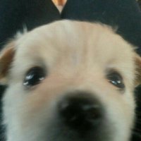 어딩 (@where0__p) 's Twitter Profile