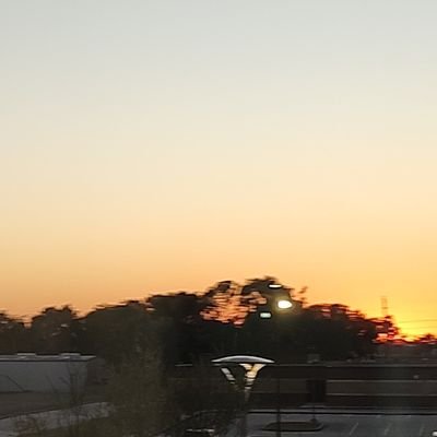 Whitecuriouslio's profile picture. Hi