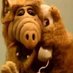 Alf (@josepvicentmoro) Twitter profile photo Alf (@josepvicentmoro) Twitter profile photo