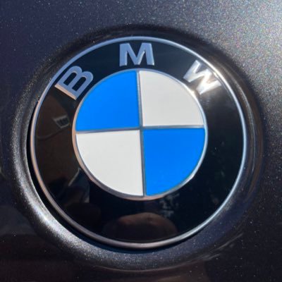 bjdrn98's profile picture. Dogs are better than most people🐾Check out my friends’ book, link below. it’s funny & clever.