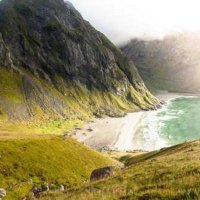 Merrill Tomich (@merrilltom34249) 's Twitter Profile