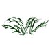 WVAU RADIO (@wvau) Twitter profile photo WVAU RADIO (@wvau) Twitter profile photo