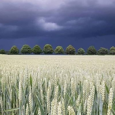 makaurn's profile picture. Choose peace✌️
First impression, most important 💯