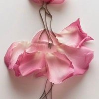 ℝ𝕠𝕤𝕖 ❀ 𝕎𝕚𝕟𝕖 (@l00l_511) Twitter profile photo