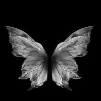 fatma (@drtyaprkliyonco) 's Twitter Profile Photo