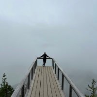 Xavier Vasques (@vasquesxavier) 's Twitter Profile