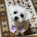 tatan🧡🦋 (@tatan2664207) Twitter profile photo tatan🧡🦋 (@tatan2664207) Twitter profile photo