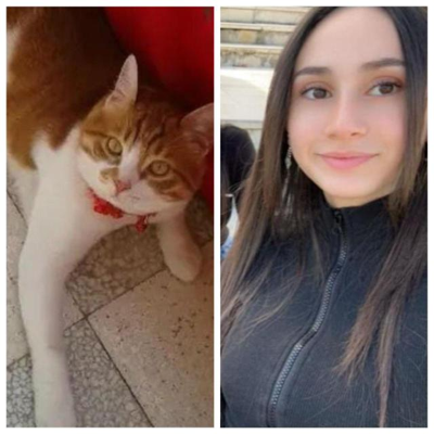 MJfal28408's profile picture. Studied Chemistry at Albaath university 🎓