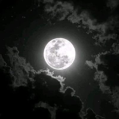 HadilFrieg's profile picture. Life And My Self