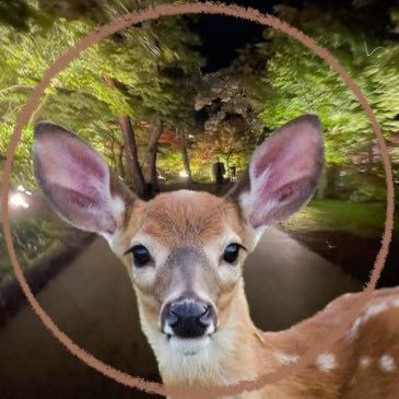 ウマしか🦌Twitch のアバター