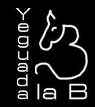 Yeguada la B es una empresa familiar que desarrolla su actividad en una finca de más de 100 hectáreas próxima a Barcelona, con unas instalaciones concebidas par