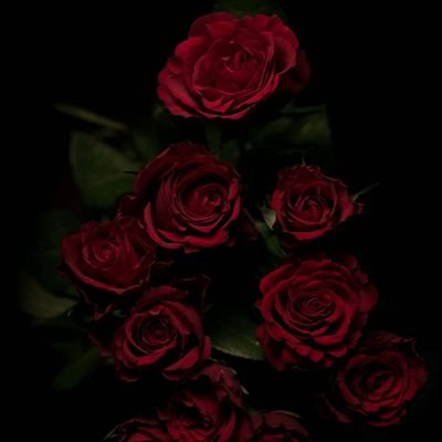 king_kenyata's profile picture. MEDICAL & HEALTH