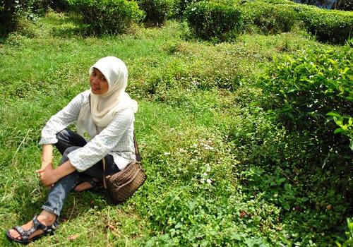 malaexcelsa's profile picture. 