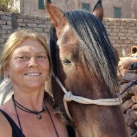 Debbie smith (pass wide and slow ) (@debbie25670) 's Twitter Profile