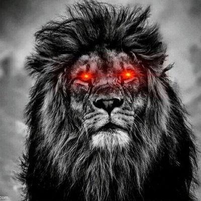 Do what makes you happy Life is too short tweets are opinions & NFA/DYOR
@TheManeToken
https://t.co/tdrBpkODye