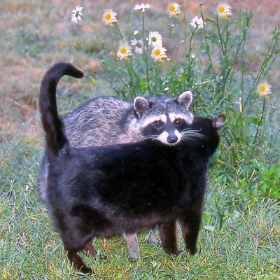 KhingAgo56346's profile picture. Fun to be with