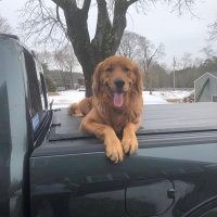 Goat55 (@goat55mtbmj) 's Twitter Profile