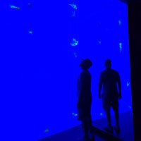 James Kelton (@jameswkelton) 's Twitter Profile