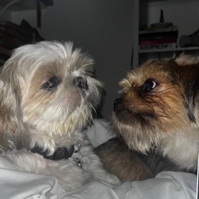 nanaspargus's profile picture. unintelligent ramblings