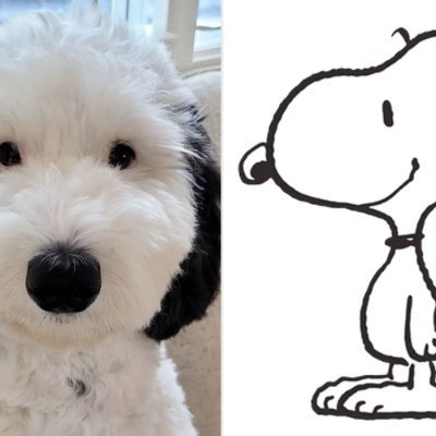 maiLfps's profile picture. Liam, 23, computer nerd! i love @han_nanner