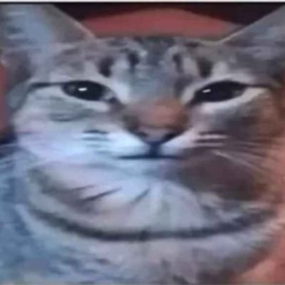 M0nkeSeeM0nkeDo's profile picture. 