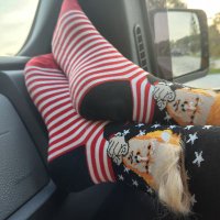 SweetBaaBoo (@mysweetbaaboo) 's Twitter Profile