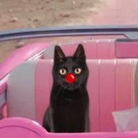 Lucia ✨🦋-era ✨ (@citrussyndicate) 's Twitter Profile