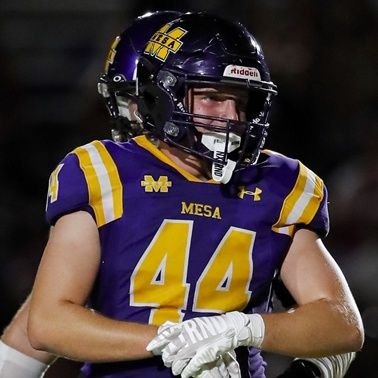 Andrew Steiner Profile