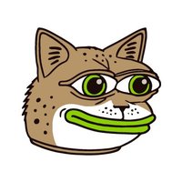 Little Bobcat - For President (@littlebobcateth) 's Twitter Profile