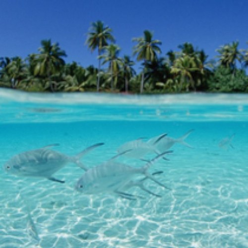 itsamusthave01's profile picture. 