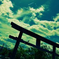 あさみ (@kflannagan52930) 's Twitter Profile