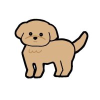 犬井トイ (@inuitoi) 's Twitter Profile