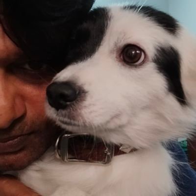 जिंदगी जितनी सादी होगी, परेशानियां उतनी आधी होगी,, विचार अवश्य कीजियेगा.....
कट्टर सनातनी,,
जय श्री राम 💞 जय जय हनुमान. .🙏🏼🌻🥰🚩🌞🇮🇳❤️🌻🙏🏼