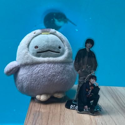 M429m1222's profile picture. BE:FIRST マナトくん NiziU ミイヒちゃん ME:I ランちゃん求めています   こちら交換垢ですが本垢提示できます