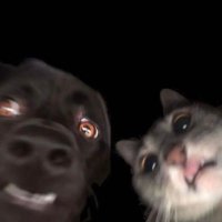 Alyssa (@alyssayxn1) 's Twitter Profile