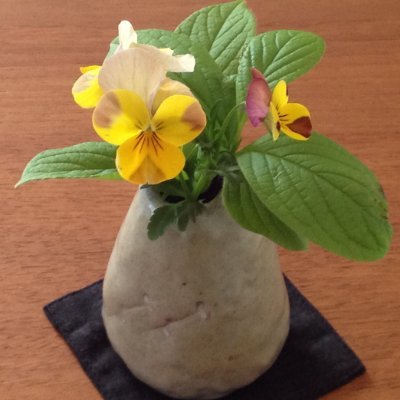 のんびりsky。retirementを楽しんでいます。虫に刺されやすいし、草取りは好きじゃないけど、庭を眺めている時間は至福の時です。無言フォローお許しください。