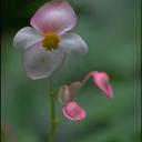 Kendra Rock - @QTRock - Twitter